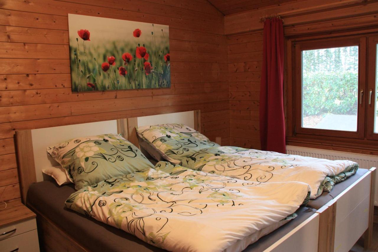 Ferienhaus Buchenblick Ankelohe المظهر الخارجي الصورة